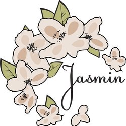 Jasmin-логотип4