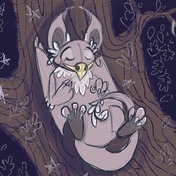 Сладкий сон