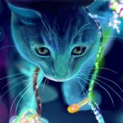 Neon-cat