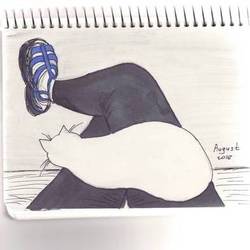 Человек и кошка