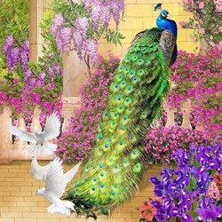 фотообои на заказ 