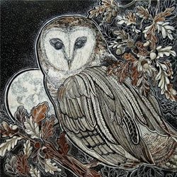 Forest night. Owl