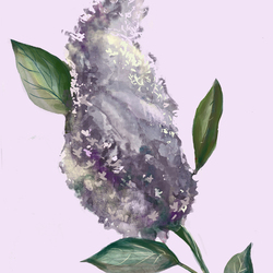 Ветка сирени