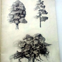 tattoo sketch woods