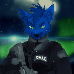 Furry (SWAT)