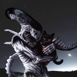 Alien with his favourite cat