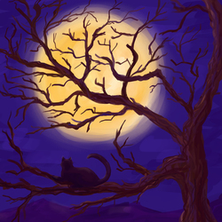 moon, tree and cat