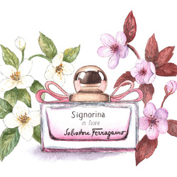 Signorina