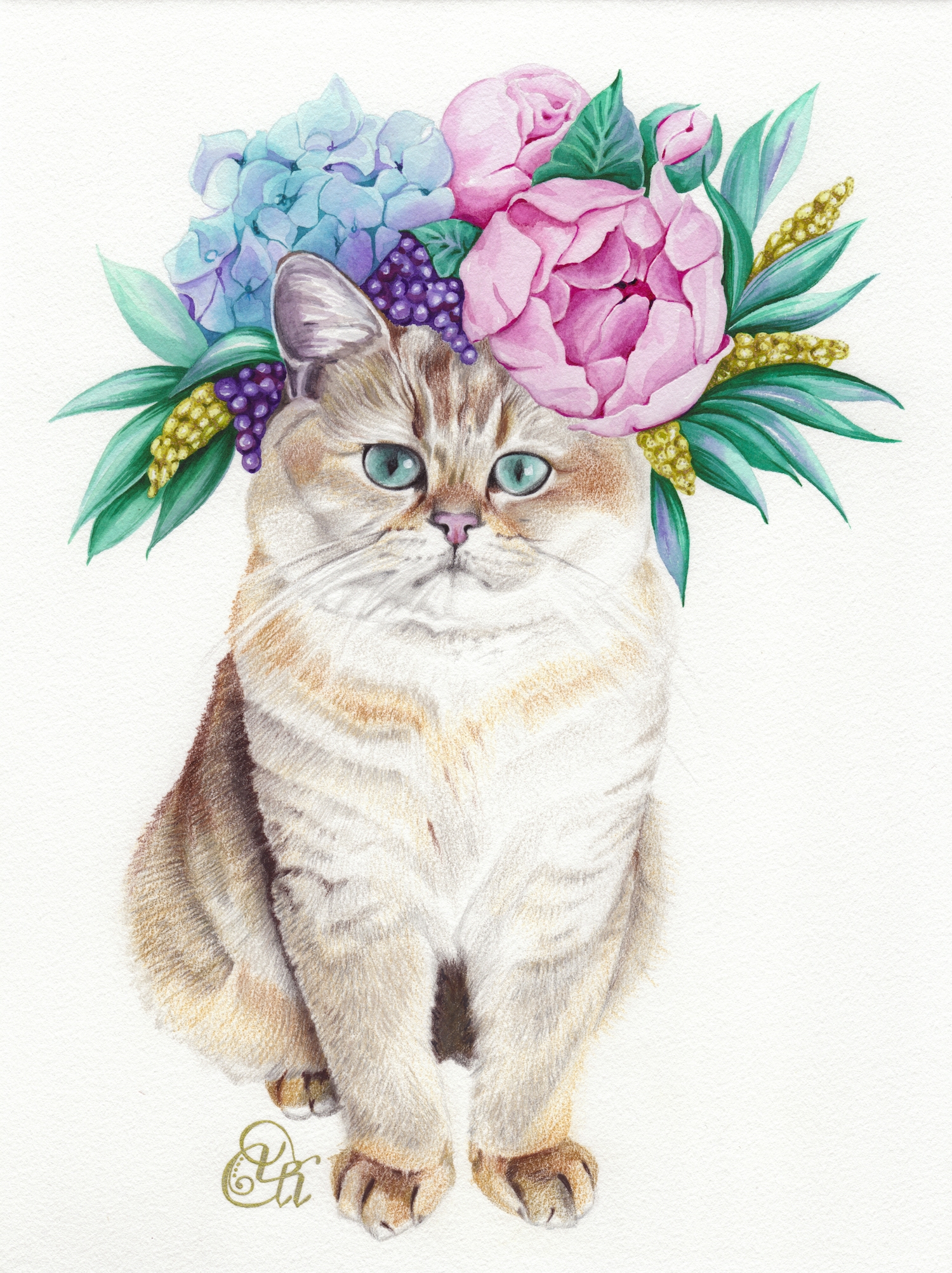 Открытка кот с цветами. Акварельные кошечки с цветами. Кот с цветами. Кошка с цветами акварель. Кот с цветами открытка.