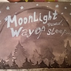 лунная дорога