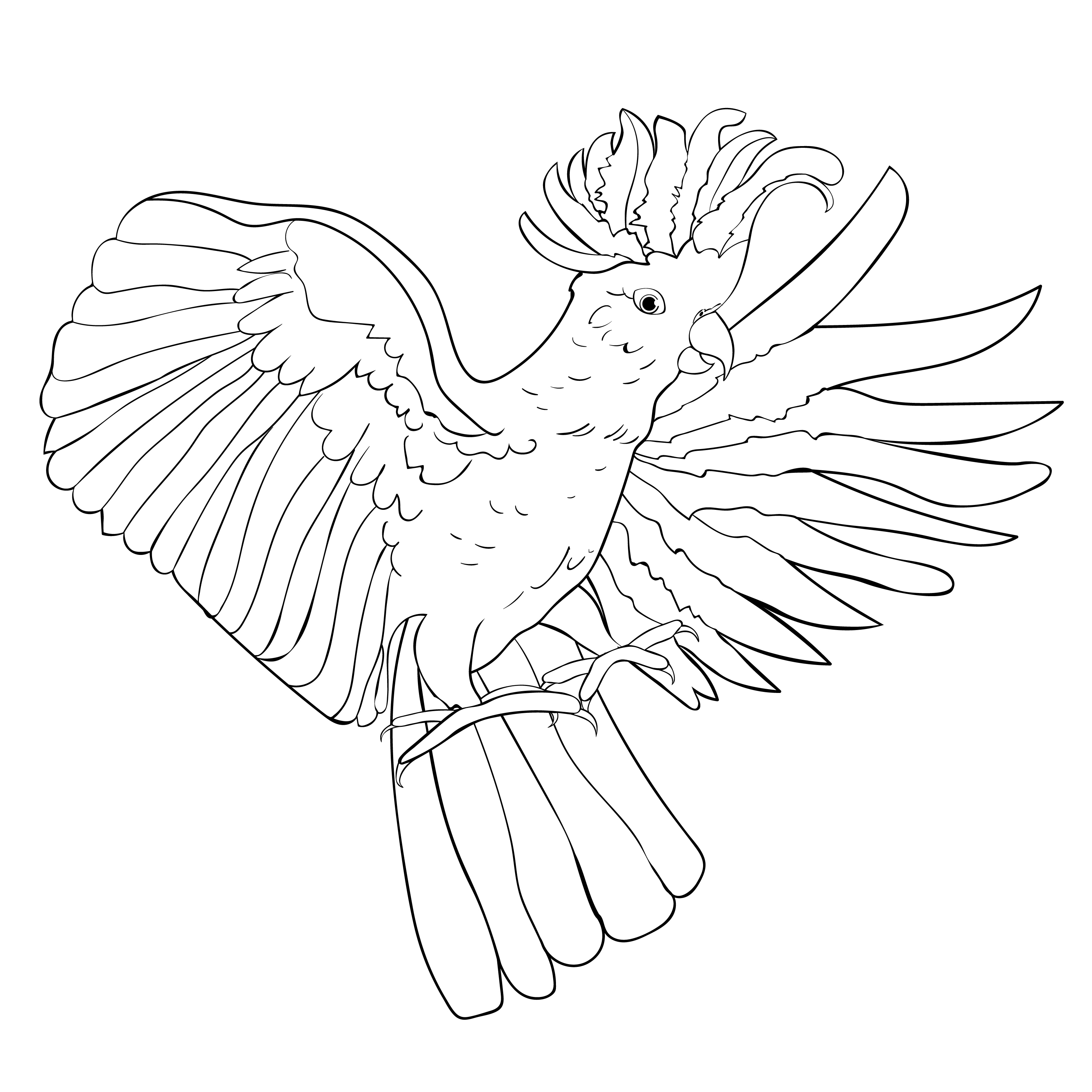Cockatoo yellow white wings flying  coloring Vector illustration