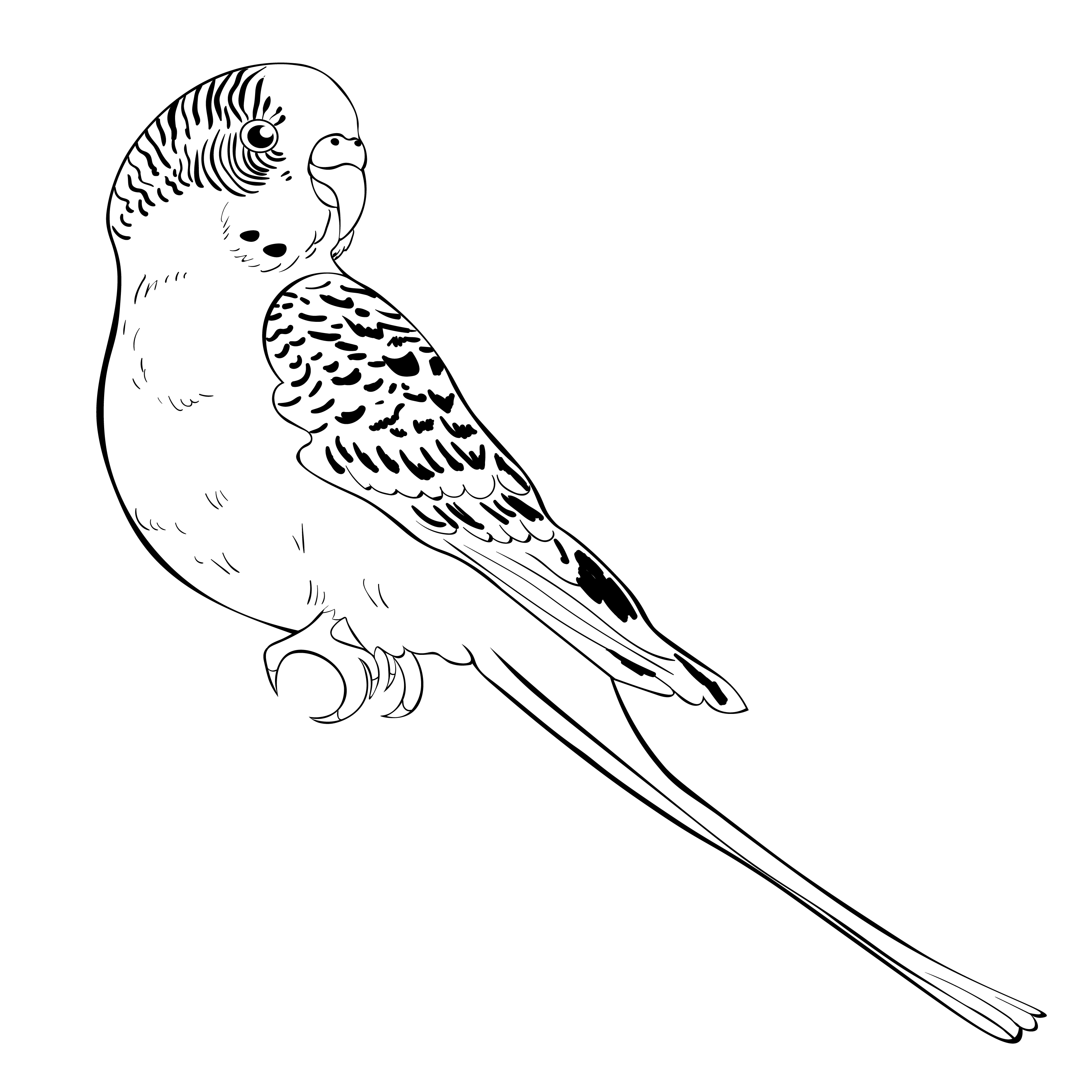 coloring with cute wavy parrot  .Vector illustration