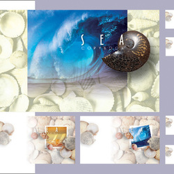 Обложки тетрадей