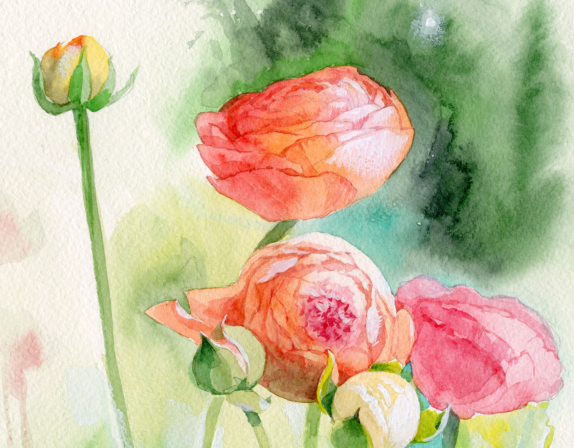 деталь "ранункулюсы"