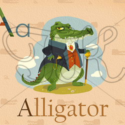 Alligator