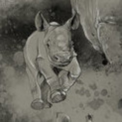 Rhino