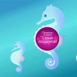 Морской конёк / Seahorse