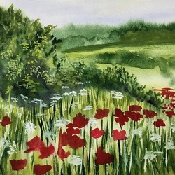 Цветочное поле