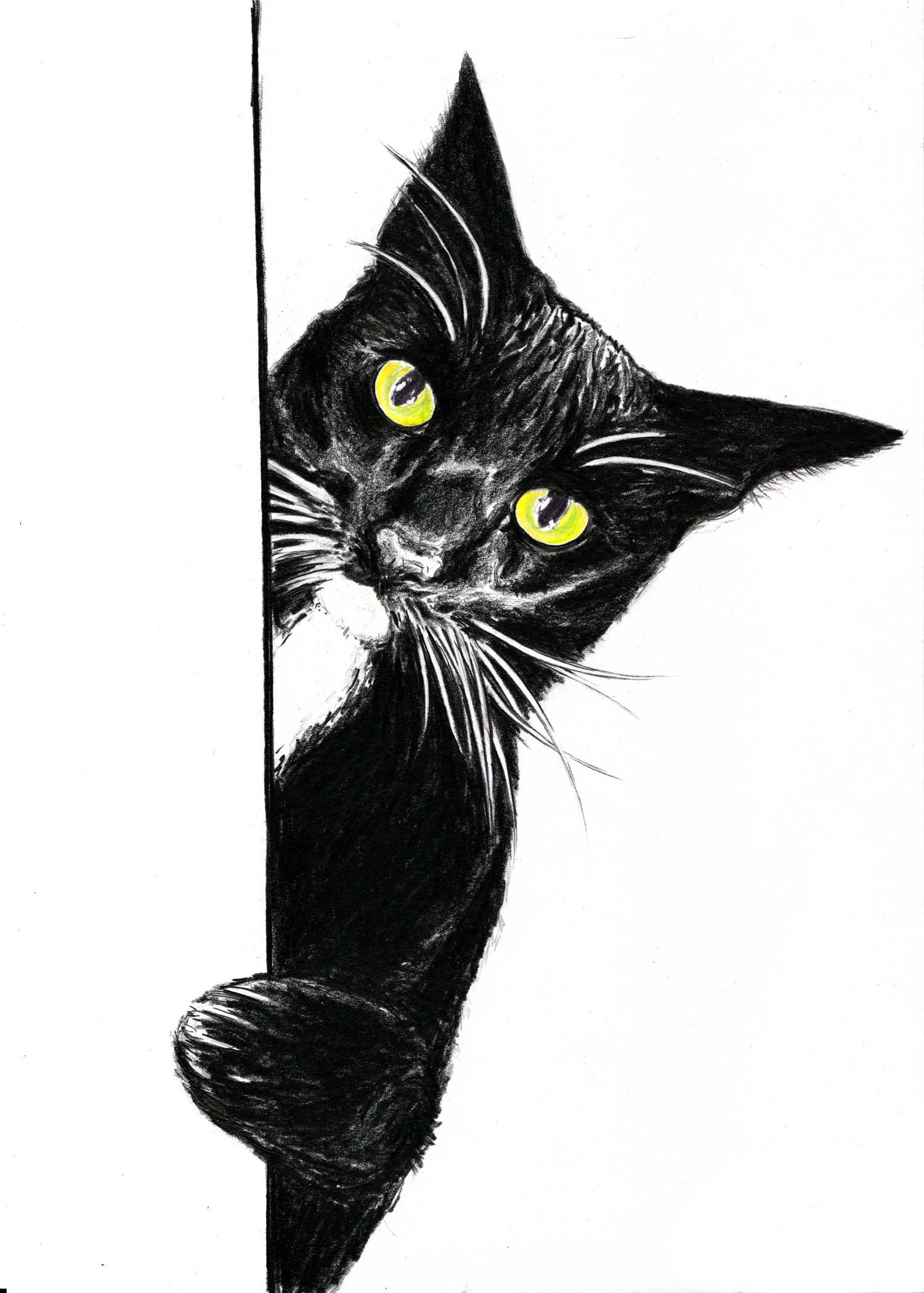 Черный кот распечатать. Кошка рисунок. Графика. Черный кот. Кошка Графика. Рисуем кошку.