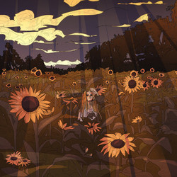 "happiness among sunflower field"