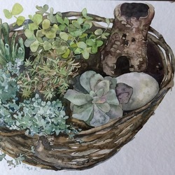 Суккуленты