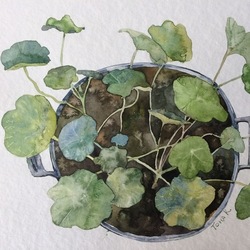 Горшки закончились