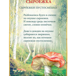 Грибная энциклопедия для детей