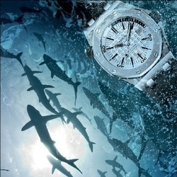 Diving watch