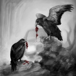 Тёмные птицы