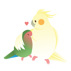 Любовь попугайчиков
