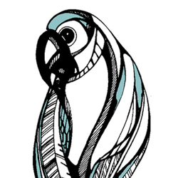 stylization of a parrot