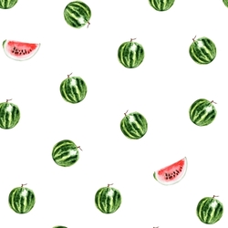 Watermelon summer sweet slice