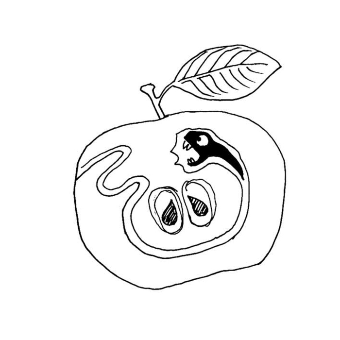 Иллюстрация Червивое яблоко в стиле графика, детский, скетчи |