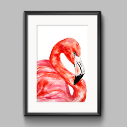 Flamingo art print