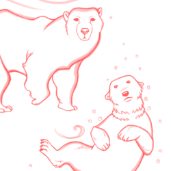 Sketch, bears. Медведи.