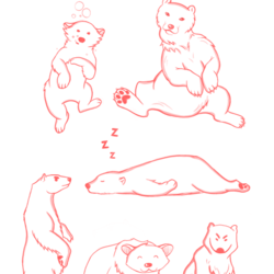 Скетчи белых мишек. Sketches of polar bears