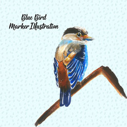 Blue bird. Marker illustration