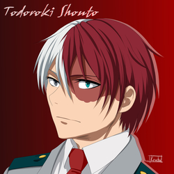 Todoroki 