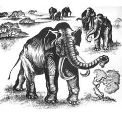 Хазарский слон. Реконструкция. Иллюстрация к книге. Алтай в кайнозойскую эру