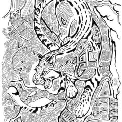 Ацтецкий кот-рыболов