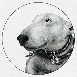 "Bull Terrier"