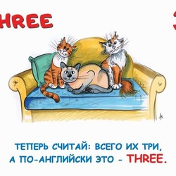 THREE