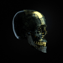 tech skull 