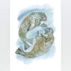 Иллюстрация к книге О. Бундура "В гостях у белого медведя"