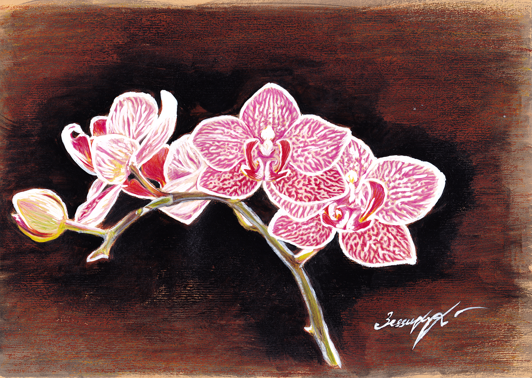 Орхидея рисунок акрилом