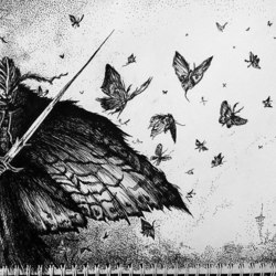 Ночной Calyptr 2016