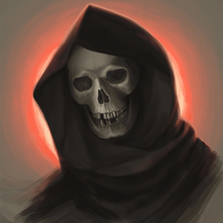 Skull study