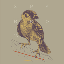 Sparrow