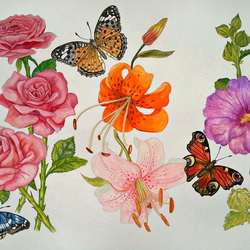 Цветы и Бабочки