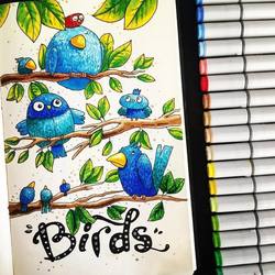 Birds